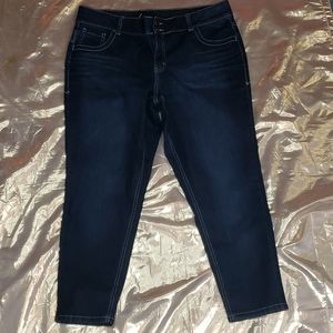 Lane Bryant Jeans Skinny Sz. 16 Short